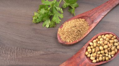 Kuru kişniş tohumları ile küçük bambu kaşıkları ve yeşil demet kişniş yaprakları, Asya mutfağında ünlü baharatlar..