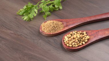 Kuru kişniş tohumları ile küçük bambu kaşıkları ve yeşil demet kişniş yaprakları, Asya mutfağında ünlü baharatlar..