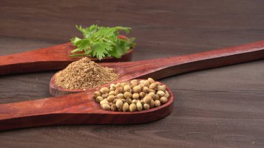 Kuru kişniş tohumları ile küçük bambu kaşıkları ve yeşil demet kişniş yaprakları, Asya mutfağında ünlü baharatlar..