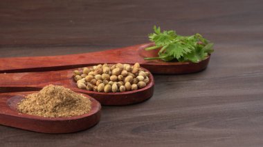 Kuru kişniş tohumları ile küçük bambu kaşıkları ve yeşil demet kişniş yaprakları, Asya mutfağında ünlü baharatlar..