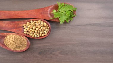 Kuru kişniş tohumları ile küçük bambu kaşıkları ve yeşil demet kişniş yaprakları, Asya mutfağında ünlü baharatlar..