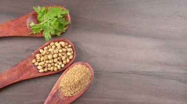 Kuru kişniş tohumları ile küçük bambu kaşıkları ve yeşil demet kişniş yaprakları, Asya mutfağında ünlü baharatlar..