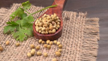 Kuru kişniş tohumları ile küçük bambu kaşığı ve yeşil taze demet kişniş yaprakları, Asya mutfağında ünlü baharatlar..