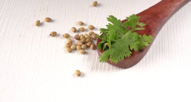 Kuru kişniş tohumları ile küçük bambu kaşığı ve yeşil taze demet kişniş yaprakları, Asya mutfağında ünlü baharatlar..