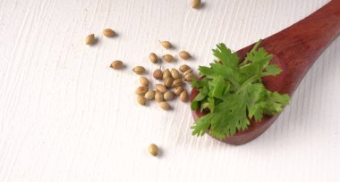Kuru kişniş tohumları ile küçük bambu kaşığı ve yeşil taze demet kişniş yaprakları, Asya mutfağında ünlü baharatlar..