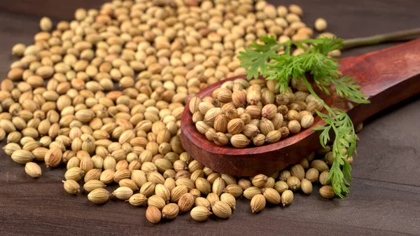 Kuru kişniş tohumları ile küçük bambu kaşığı ve yeşil taze demet kişniş yaprakları, Asya mutfağında ünlü baharatlar..