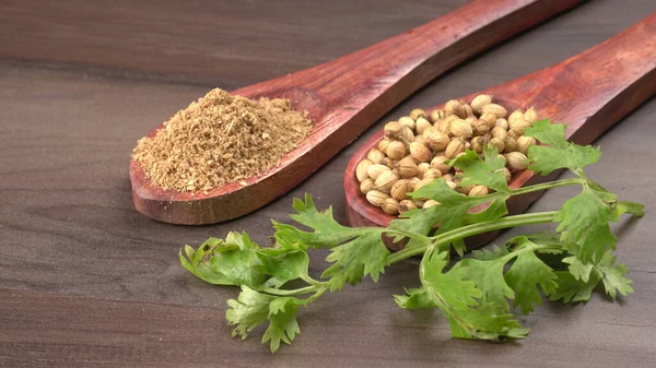 Dry Coriander Seeds Small Bamboo Spoons Green Fresh Bunch Coriander — Foto de Stock