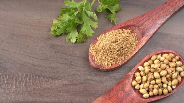 Kuru kişniş tohumları ile küçük bambu kaşıkları ve yeşil demet kişniş yaprakları, Asya mutfağında ünlü baharatlar..