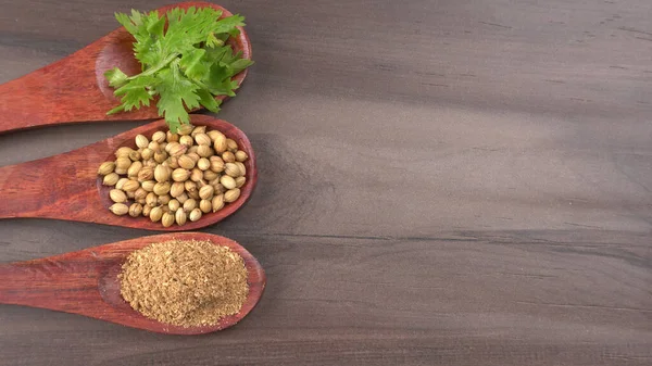 Dry Coriander Seeds Small Bamboo Spoons Green Fresh Bunch Coriander — Stockfoto