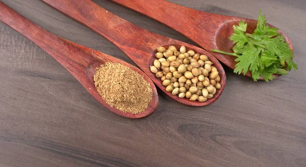 Kuru kişniş tohumları ile küçük bambu kaşıkları ve yeşil demet kişniş yaprakları, Asya mutfağında ünlü baharatlar..