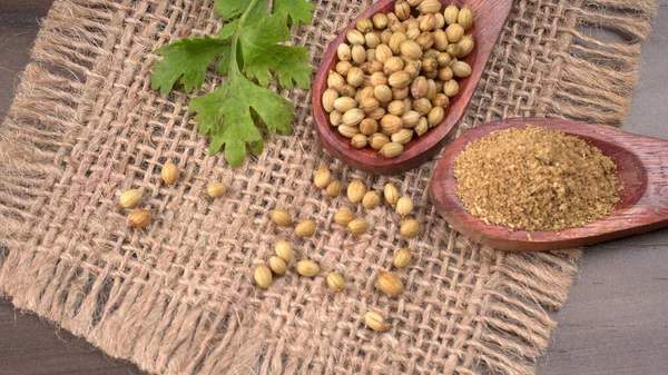 Dry Coriander Seeds Small Bamboo Spoons Green Fresh Bunch Coriander — Stock fotografie