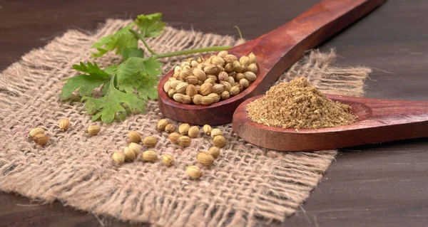 Kuru kişniş tohumları ile küçük bambu kaşıkları ve yeşil demet kişniş yaprakları, Asya mutfağında ünlü baharatlar..