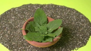 Yeşil arka planda yeşil yapraklı siyah tohum yığını, Hint baharatları yakın plan 