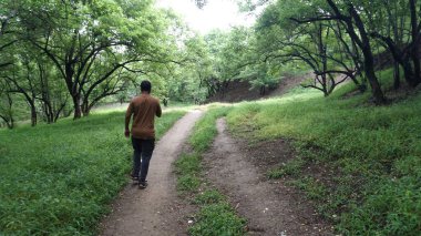 INDIA - 18 HAZİRAN 2021: Yaz parkında yürüyen genç Hintli adamın gündüz çekimi 