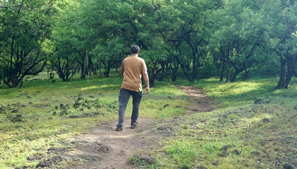 India Hazi Ran 2021 Yaz Parkında Yürüyen Genç Hintli Adamın — Stok fotoğraf