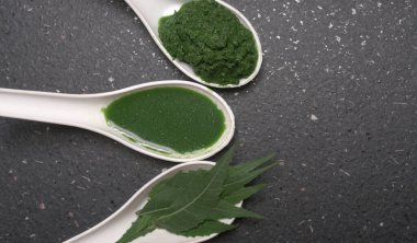 Medikal Ayurvedic Azadirachta Indica veya Neem kaşıklarda macun bırakır