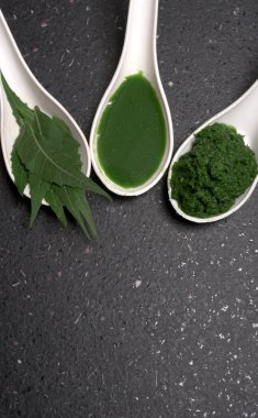 Medikal Ayurvedic Azadirachta Indica veya Neem kaşıklarda macun bırakır