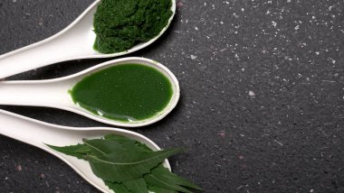 Medikal Ayurvedic Azadirachta Indica veya Neem kaşıklarda macun bırakır