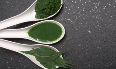 Medikal Ayurvedic Azadirachta Indica veya Neem kaşıklarda macun bırakır