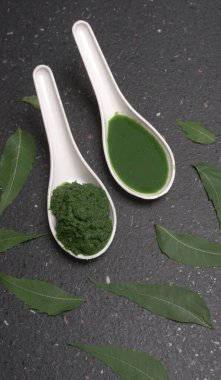 Medikal Ayurvedic Azadirachta Indica veya Neem kaşıklarda macun bırakır