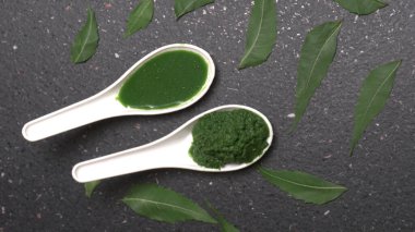 Medikal Ayurvedic Azadirachta Indica veya Neem kaşıklarda macun bırakır