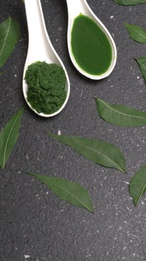 Medikal Ayurvedic Azadirachta Indica veya Neem kaşıklarda macun bırakır