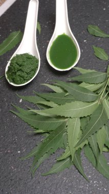 Medikal Ayurvedic Azadirachta Indica veya Neem kaşıklarda macun bırakır