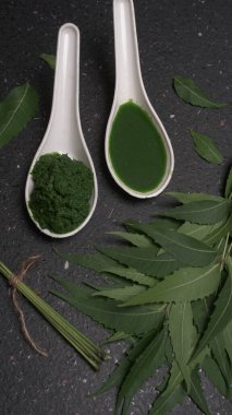 Medikal Ayurvedic Azadirachta Indica veya Neem kaşıklarda macun bırakır