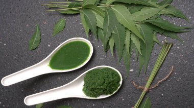 Medikal Ayurvedic Azadirachta Indica veya Neem kaşıklarda macun bırakır