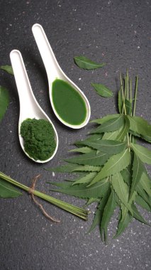 Medikal Ayurvedic Azadirachta Indica veya Neem kaşıklarda macun bırakır