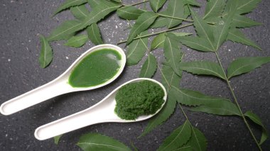 Medikal Ayurvedic Azadirachta Indica veya Neem kaşıklarda macun bırakır