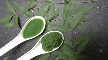 Medikal Ayurvedic Azadirachta Indica veya Neem kaşıklarda macun bırakır