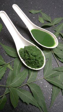 Medikal Ayurvedic Azadirachta Indica veya Neem kaşıklarda macun bırakır