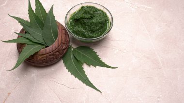 Medikal Ayurvedic Azadirachta Indica veya Neem kâselerde yaprak macunu