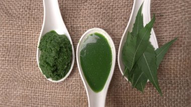 Medikal Ayurvedic Azadirachta Indica veya Neem kaşıklarda macun bırakır