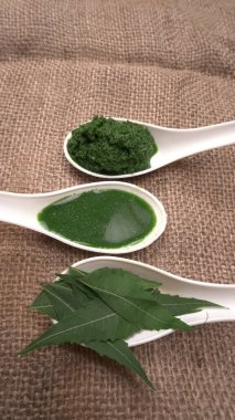 Medikal Ayurvedic Azadirachta Indica veya Neem kaşıklarda macun bırakır