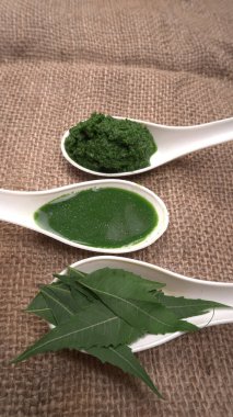 Medikal Ayurvedic Azadirachta Indica veya Neem kaşıklarda macun bırakır