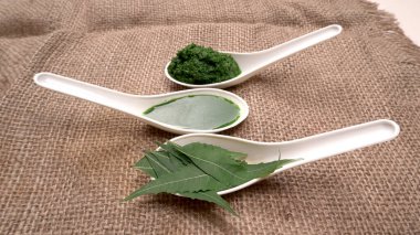 Medikal Ayurvedic Azadirachta Indica veya Neem kaşıklarda macun bırakır