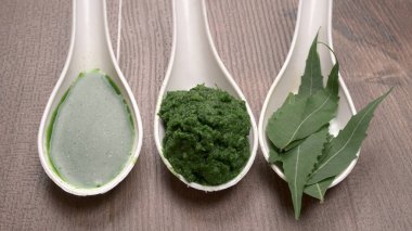 Medikal Ayurvedic Azadirachta Indica veya Neem kaşıklarda macun bırakır