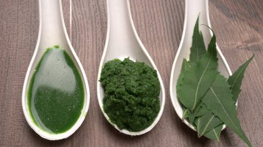 Medikal Ayurvedic Azadirachta Indica veya Neem kaşıklarda macun bırakır