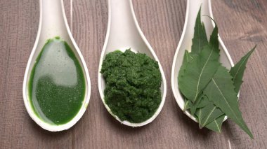 Medikal Ayurvedic Azadirachta Indica veya Neem kaşıklarda macun bırakır