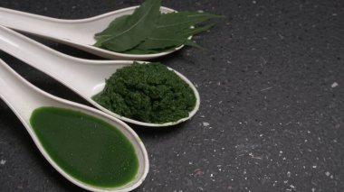 Medikal Ayurvedic Azadirachta Indica veya Neem kaşıklarda macun bırakır