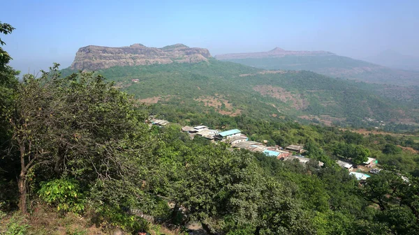 Naturskön Utsikt Över Gröna Växter Och Ängar Bergen Indien — Stockfoto