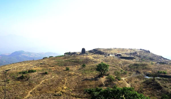 Vista Panorâmica Plantas Verdes Prados Nas Montanhas Índia — Fotografia de Stock