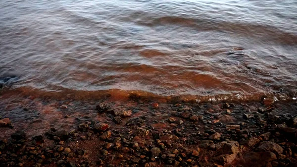 Kamienie Plaży Morskiej Dzień — Zdjęcie stockowe