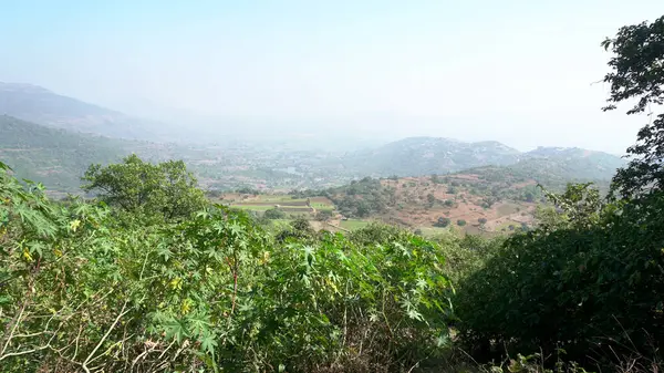 Scénický Pohled Zelené Rostliny Louky Horách Indie — Stock fotografie