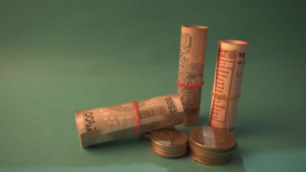 Coins Rolled Indian Currency Closeup Money Saving Financial Concept Money — Stock video