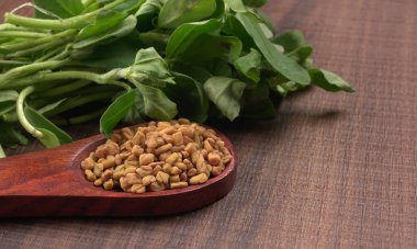 Kuru kişniş tohumları ile küçük bambu kaşığı ve yeşil taze demet kişniş yaprakları, Asya mutfağında ünlü baharatlar..