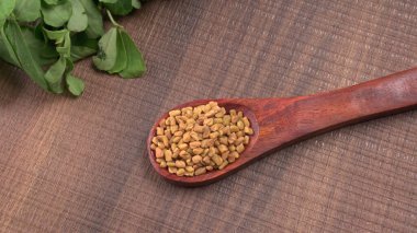 Kuru kişniş tohumları ile küçük bambu kaşığı ve yeşil taze demet kişniş yaprakları, Asya mutfağında ünlü baharatlar..