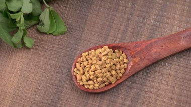 Kuru kişniş tohumları ile küçük bambu kaşığı ve yeşil taze demet kişniş yaprakları, Asya mutfağında ünlü baharatlar..